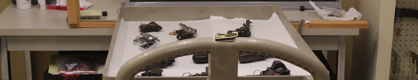Fire Arms Library