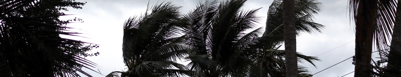 Hurricane Season
