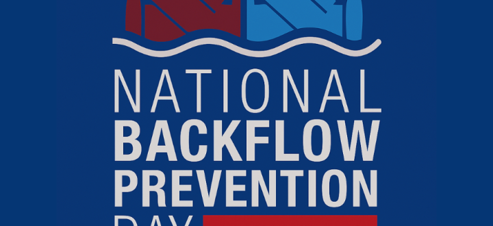 Backflow Day